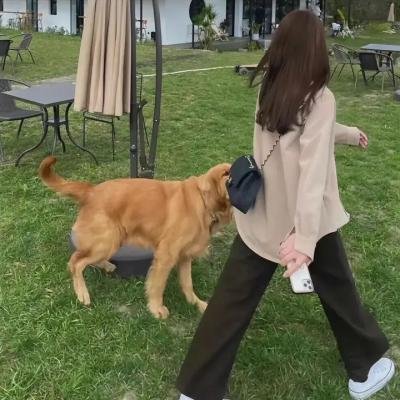 寂灭之境第一季